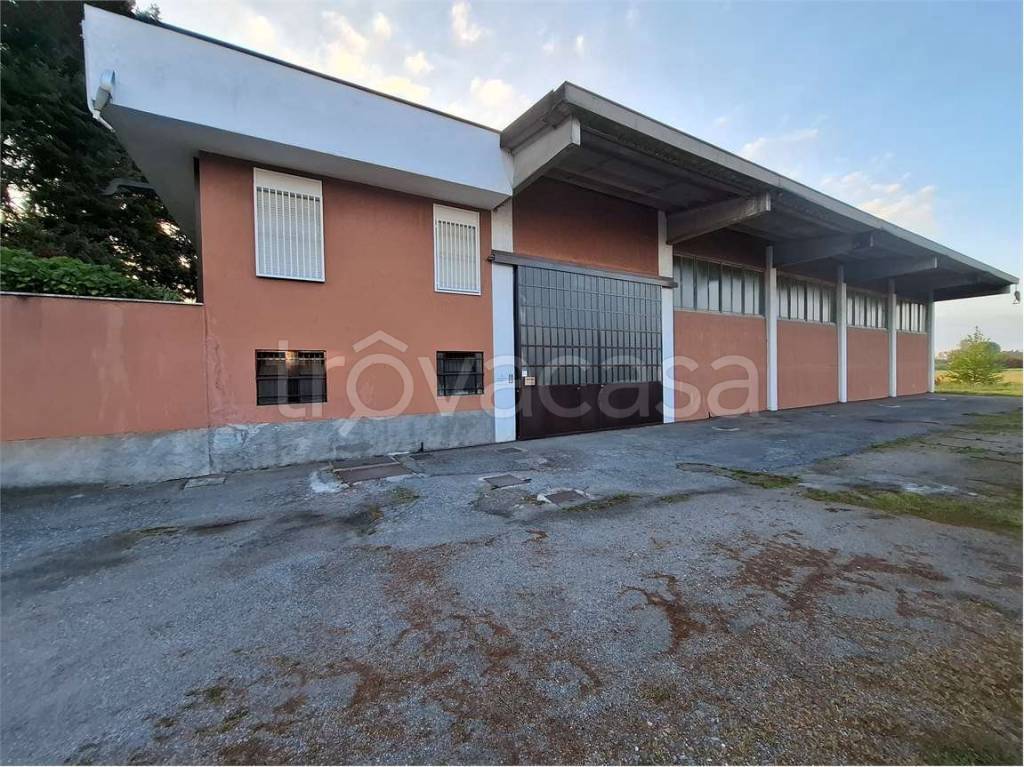 immagine annuncio 5 di 9