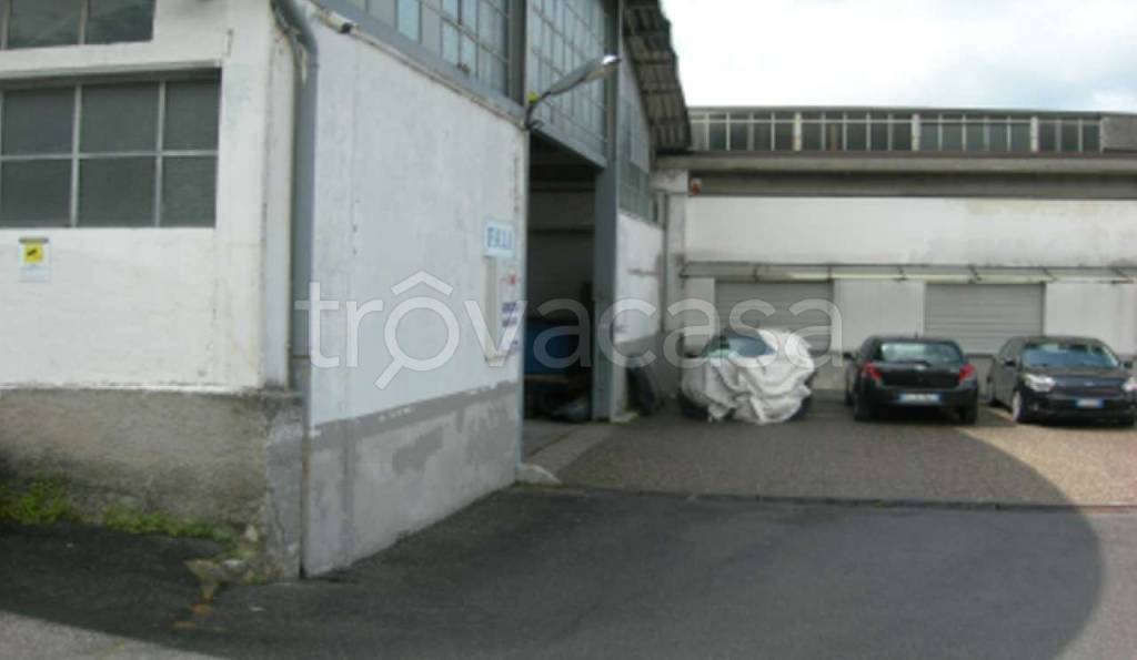 immagine annuncio 2 di 12