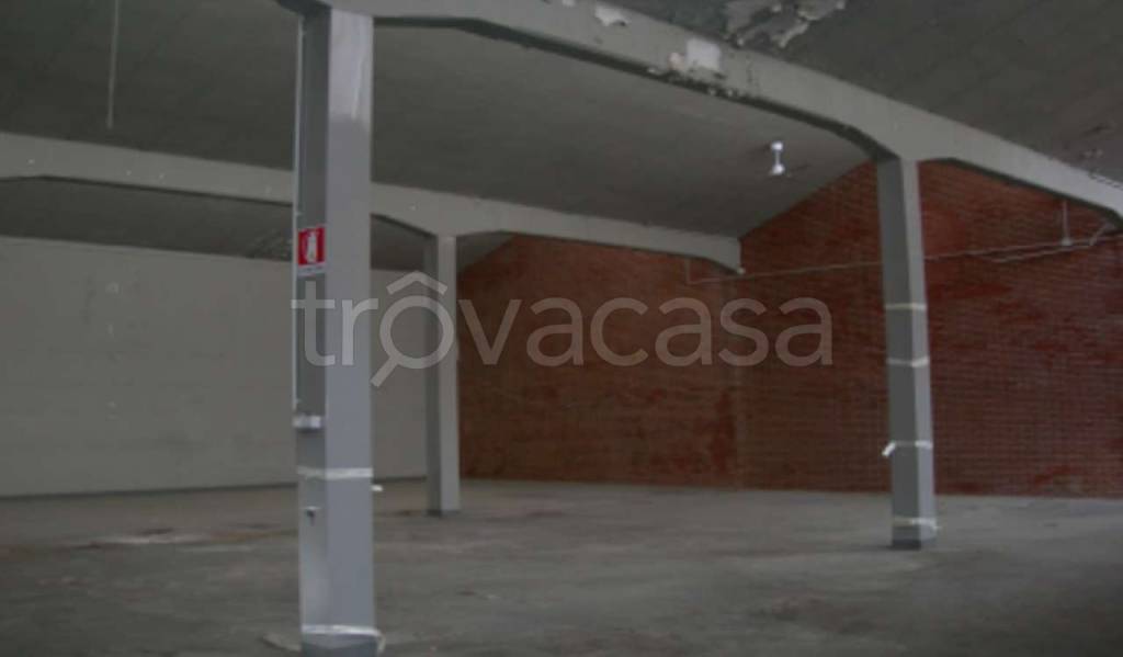 immagine annuncio 5 di 12
