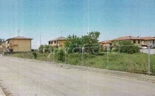 immagine annuncio 3 di 14