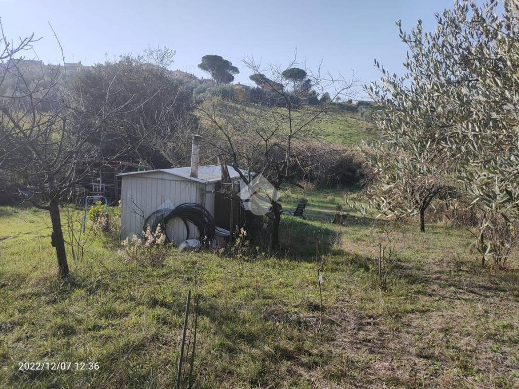 immagine annuncio 6 di 14
