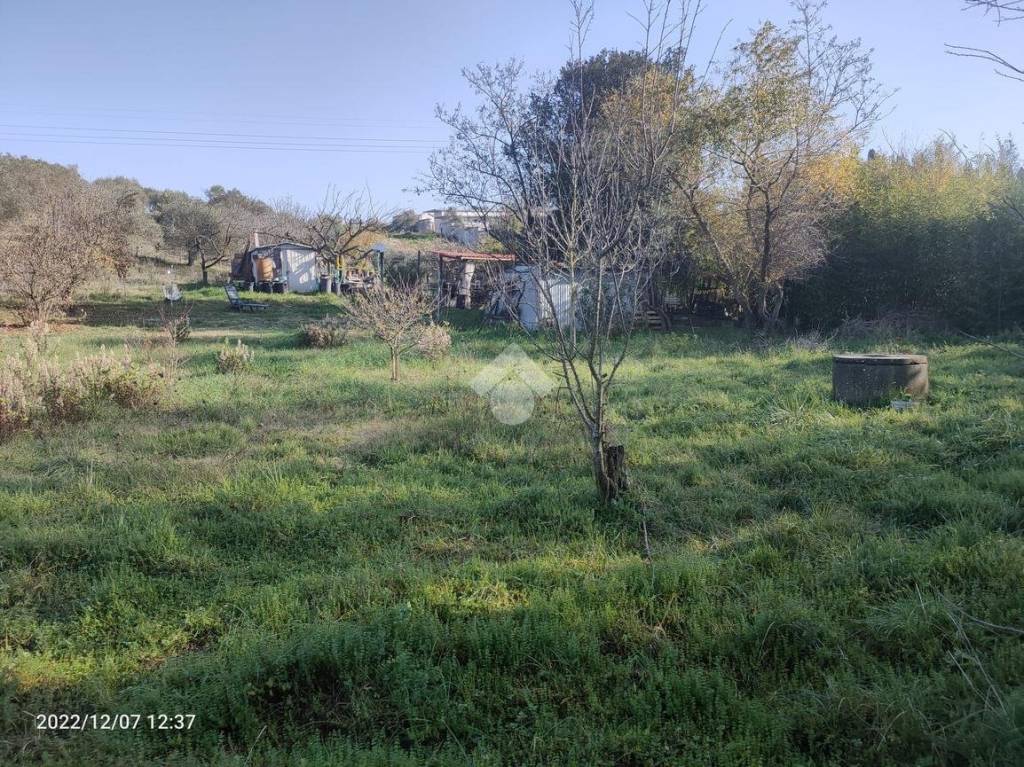 immagine annuncio 7 di 14