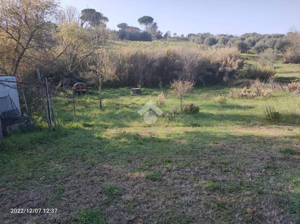 immagine annuncio 9 di 14
