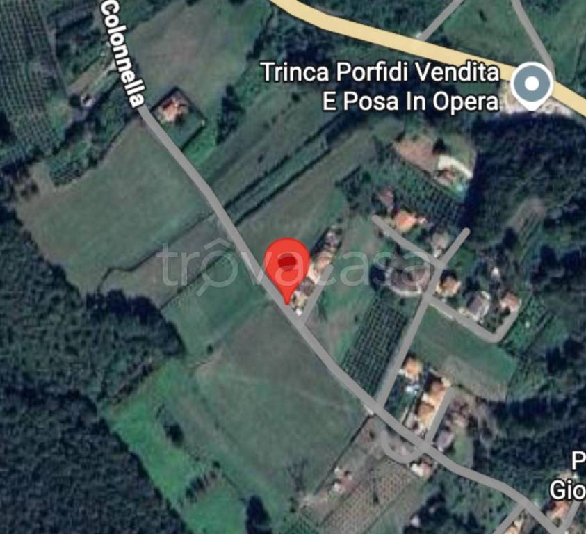immagine annuncio 3 di 11