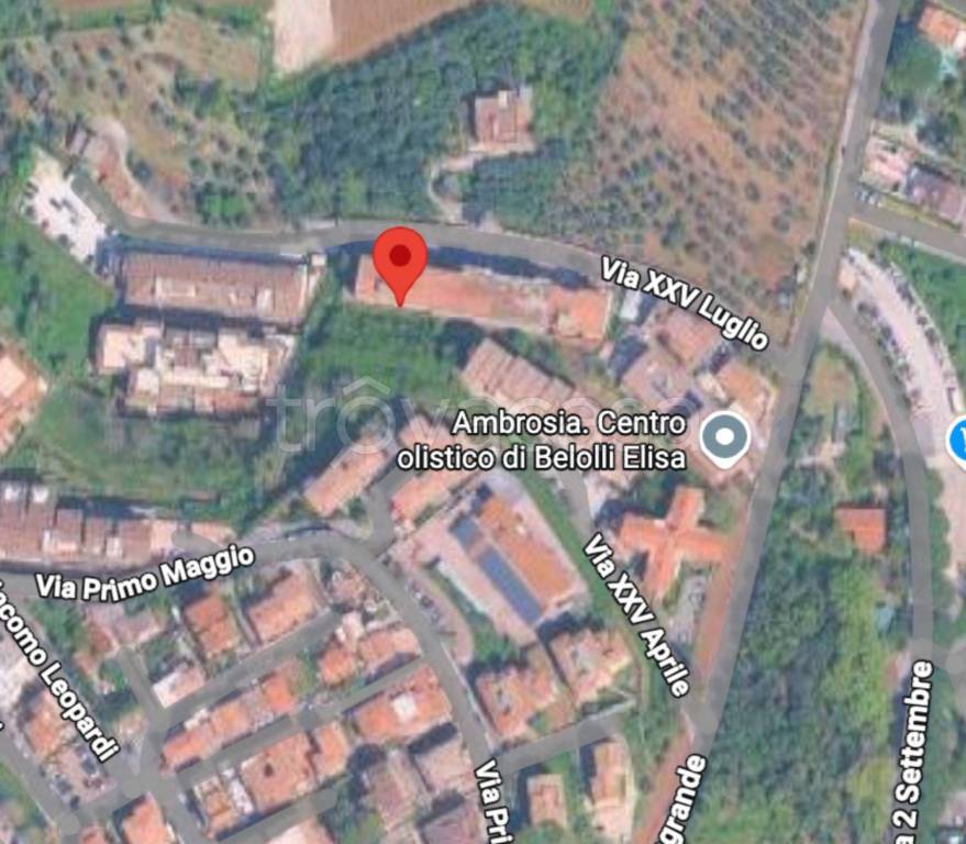 immagine annuncio 8 di 12