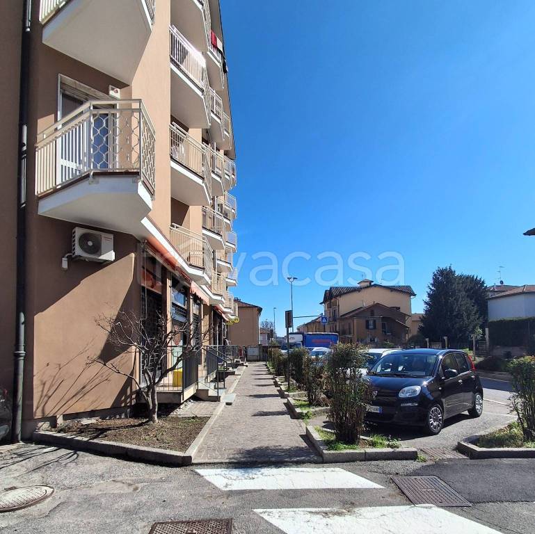 immagine annuncio 6 di 14