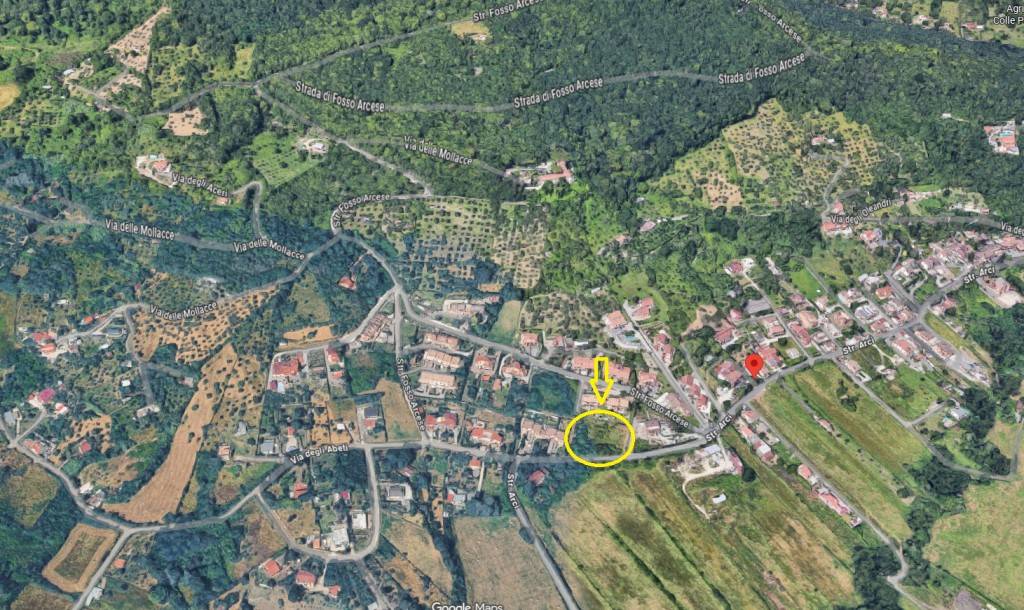 immagine annuncio 2 di 8