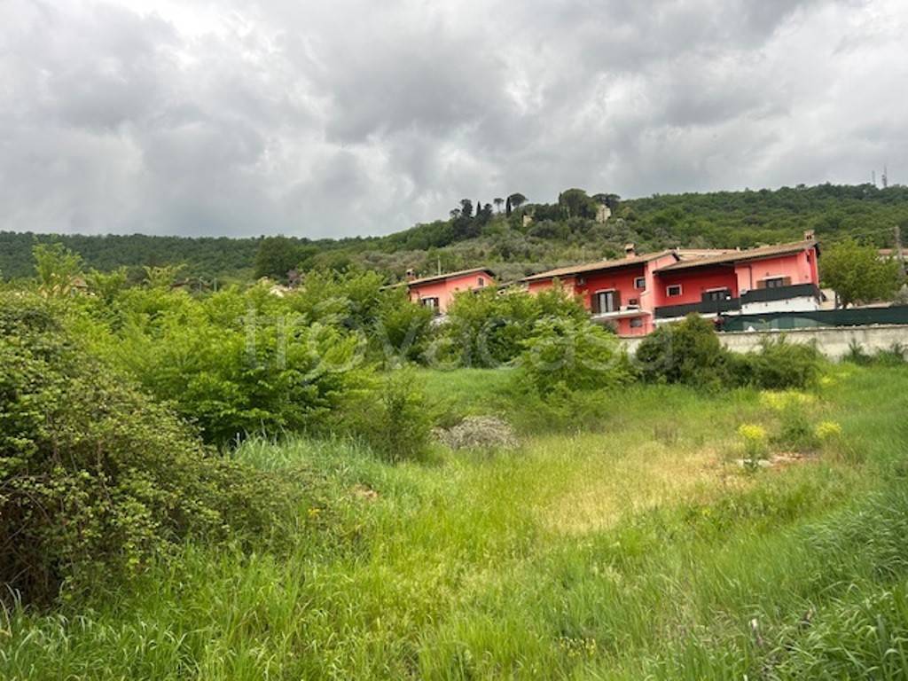 immagine annuncio 5 di 8