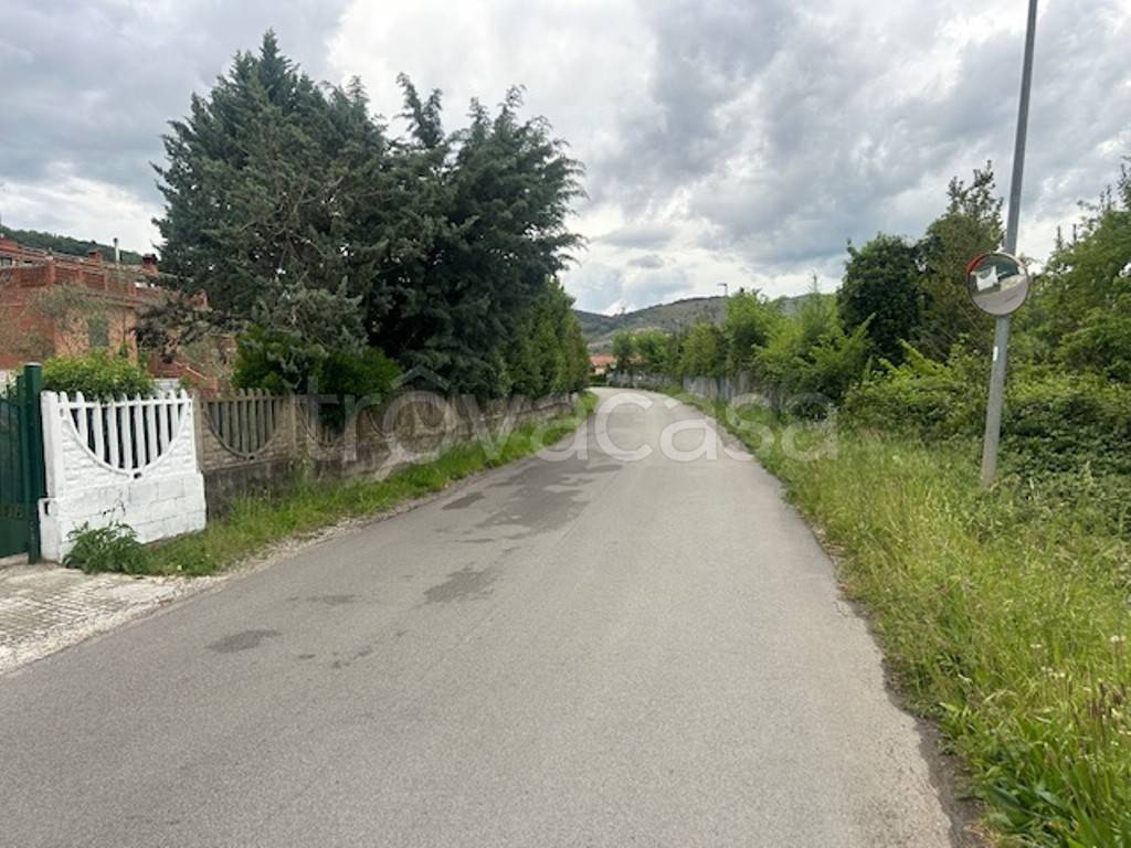 immagine annuncio 7 di 8