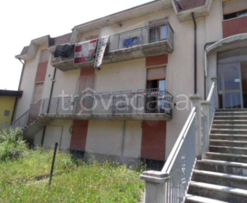 immagine annuncio 5 di 12
