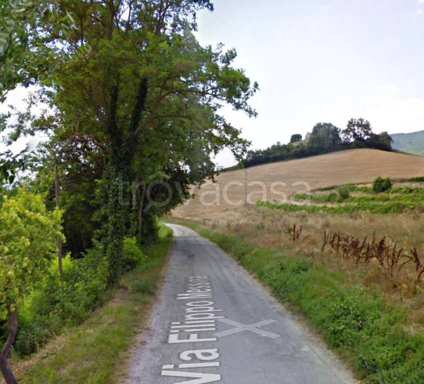 immagine annuncio 12 di 14
