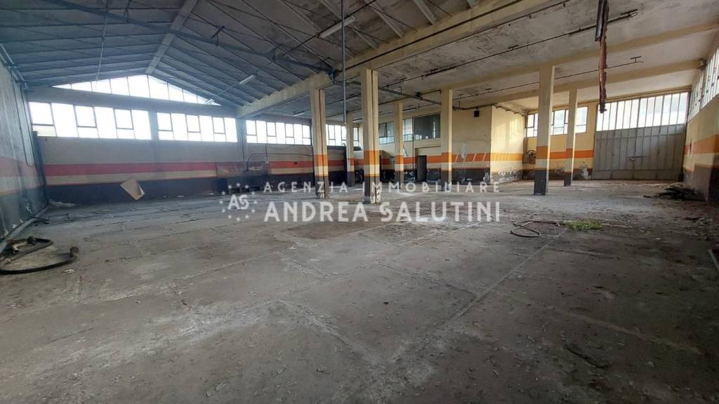 immagine annuncio 2 di 9