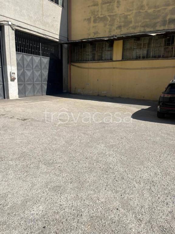 immagine annuncio 1 di 11