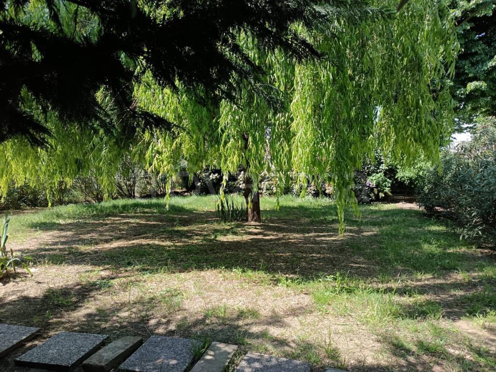 immagine annuncio 2 di 3