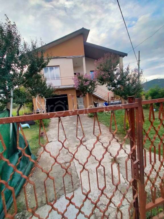 immagine annuncio 1 di 11