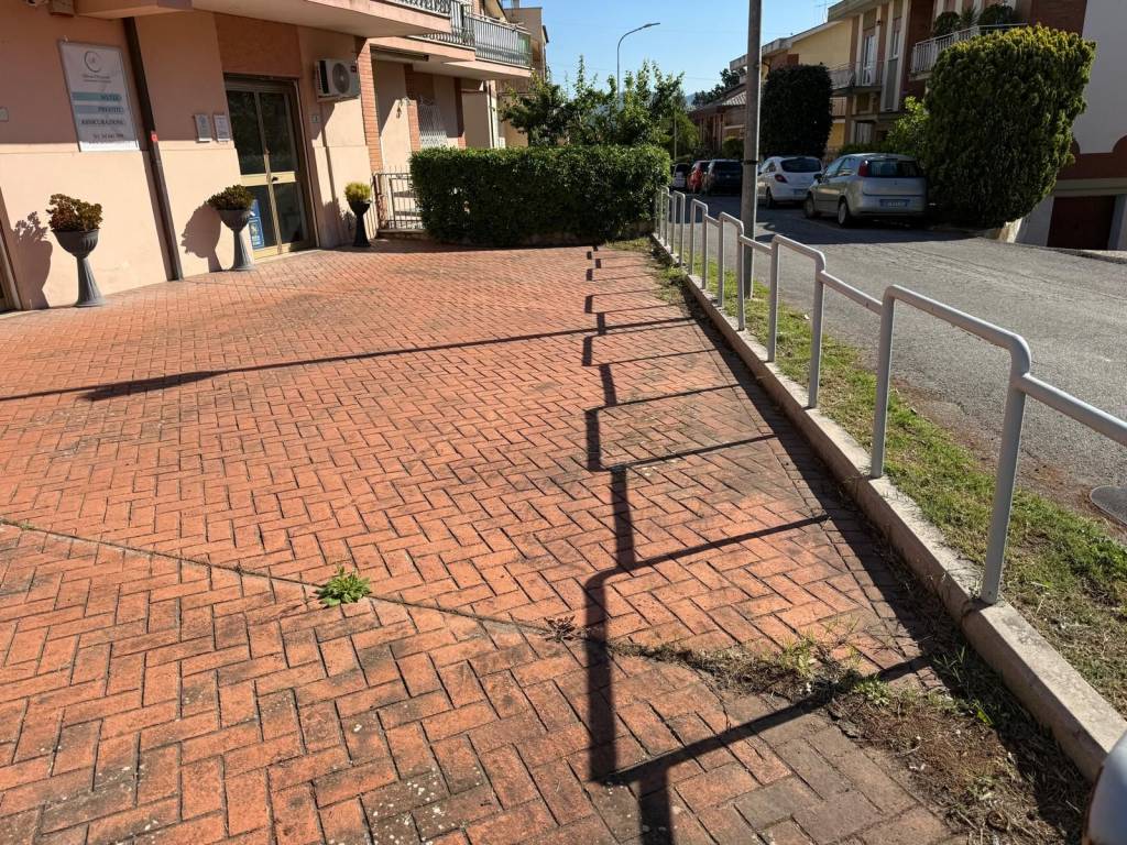 immagine annuncio 11 di 12
