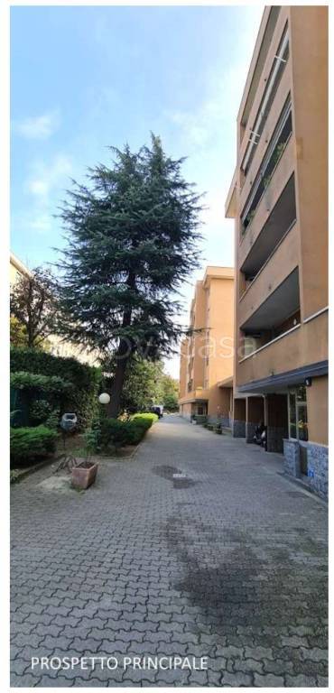 immagine annuncio 6 di 8