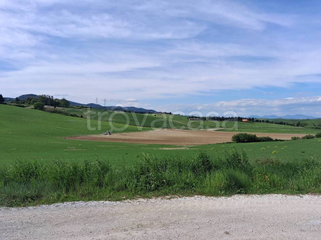 immagine annuncio 6 di 12
