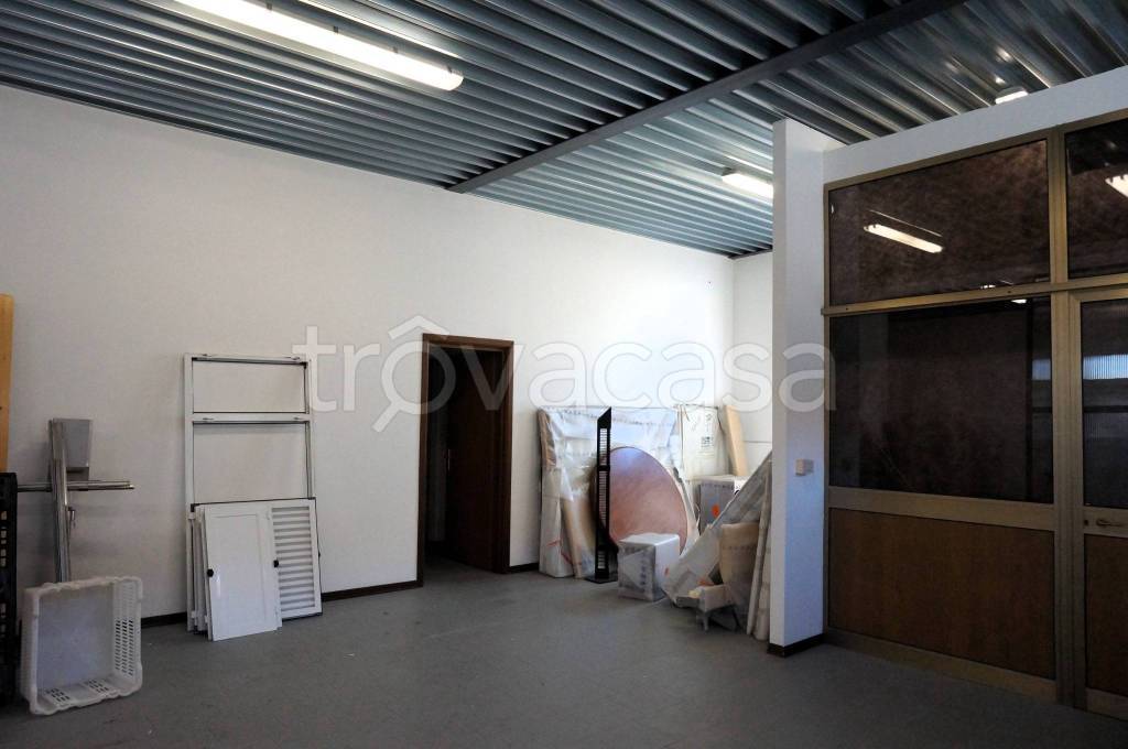 immagine annuncio 6 di 12
