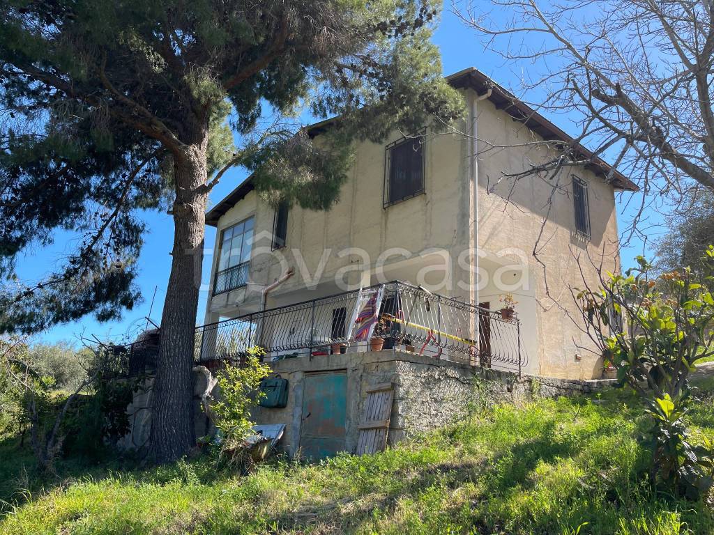 immagine annuncio 5 di 14