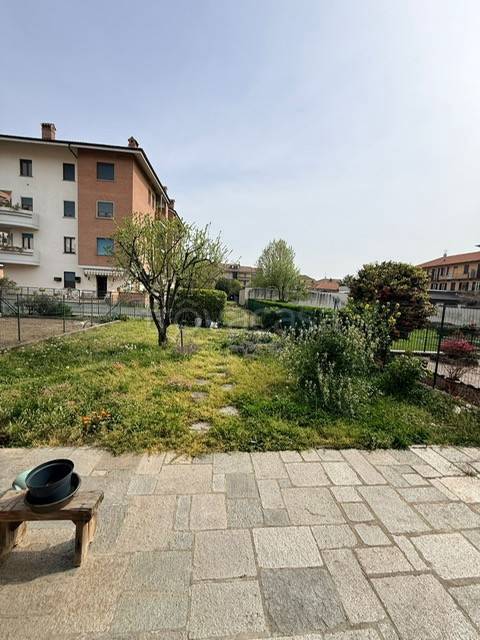immagine annuncio 5 di 15