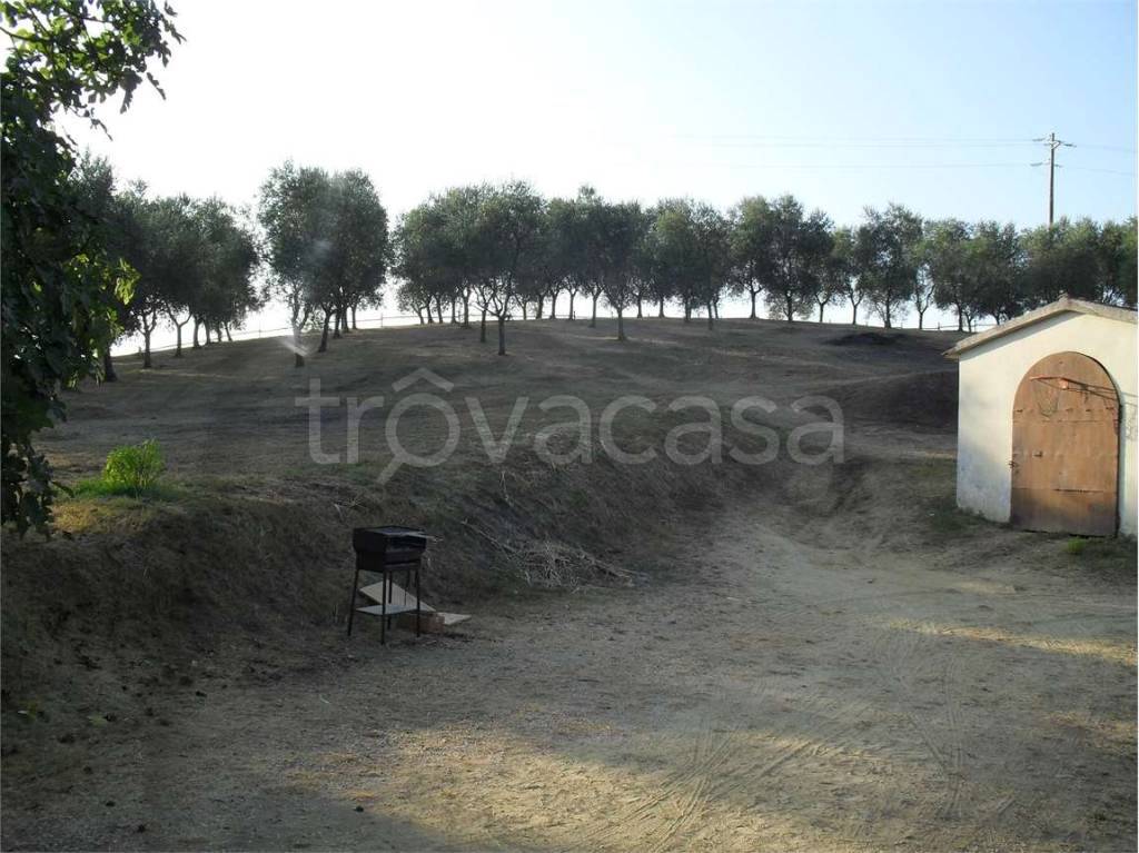 immagine annuncio 8 di 14