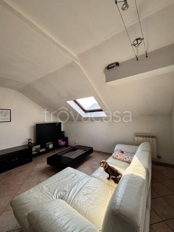 immagine annuncio 3 di 14