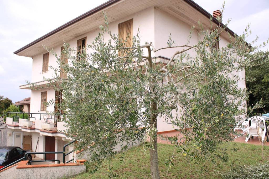 immagine annuncio 11 di 12