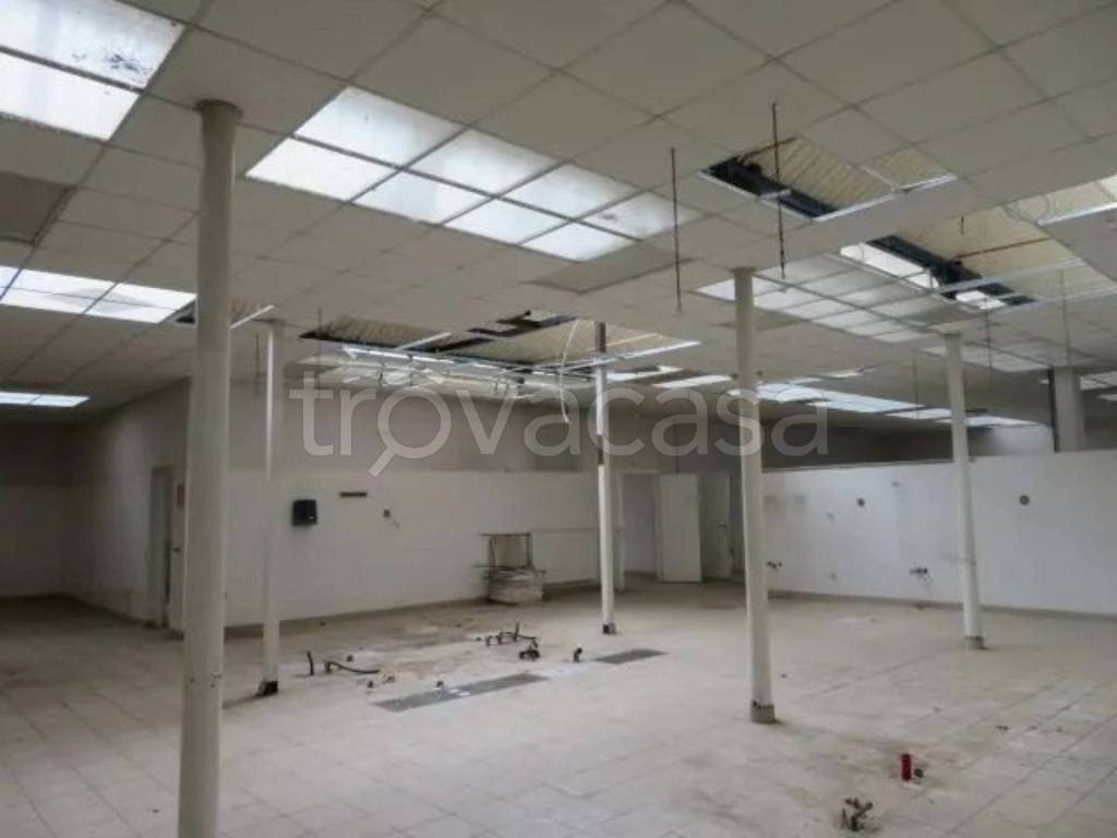 immagine annuncio 9 di 14