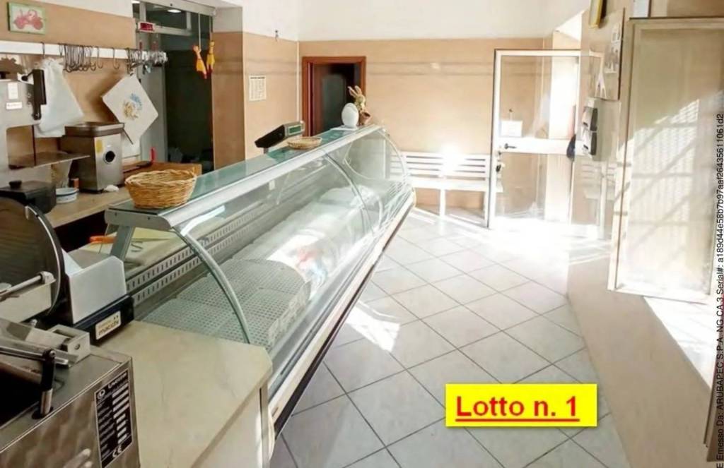 immagine annuncio 3 di 10