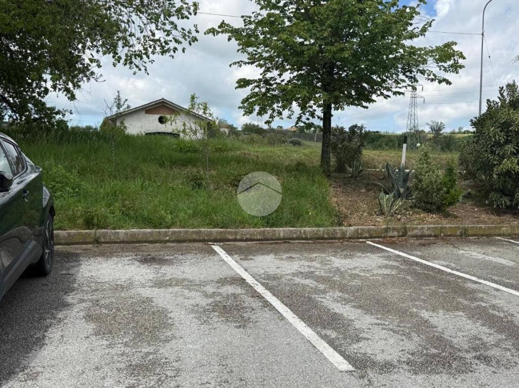 immagine annuncio 11 di 12