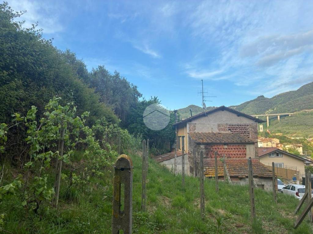 immagine annuncio 6 di 8