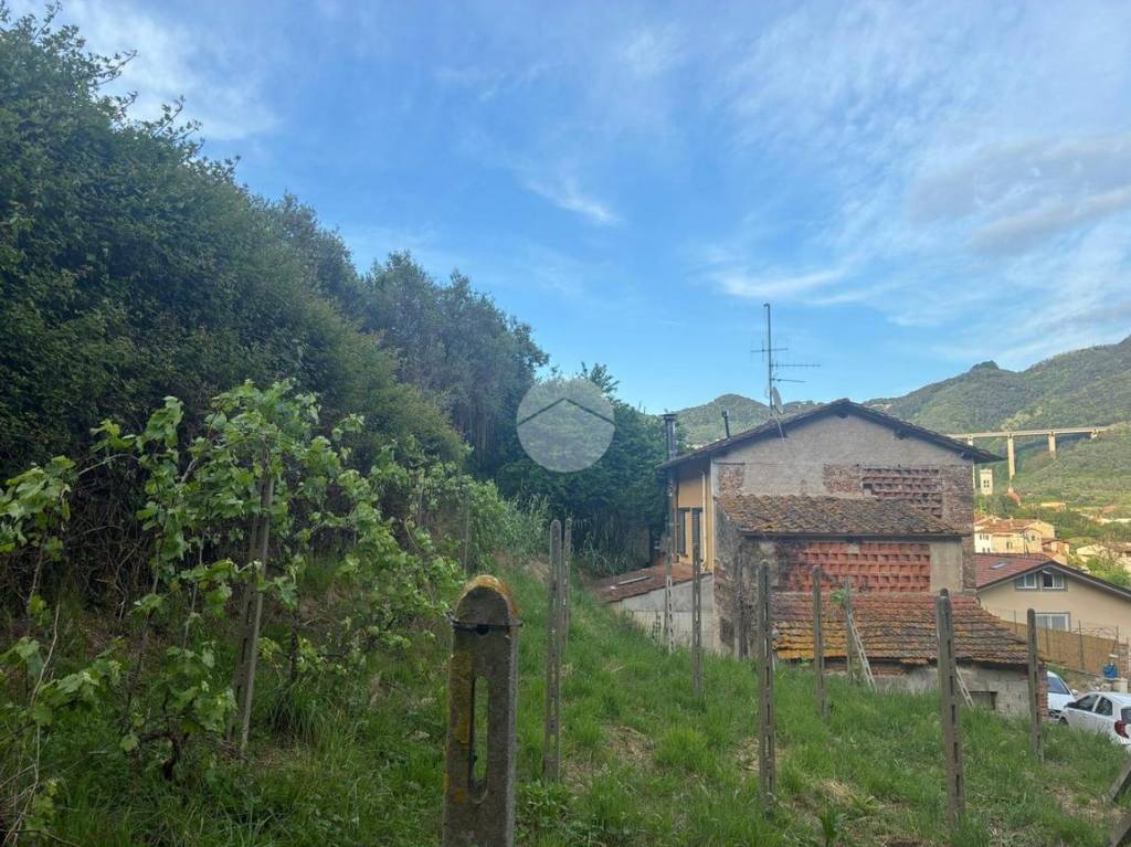 immagine annuncio 7 di 8