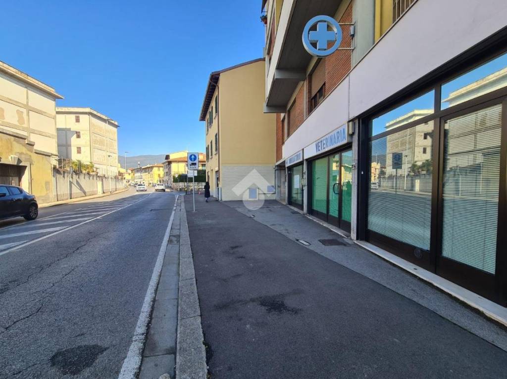 immagine annuncio 2 di 14
