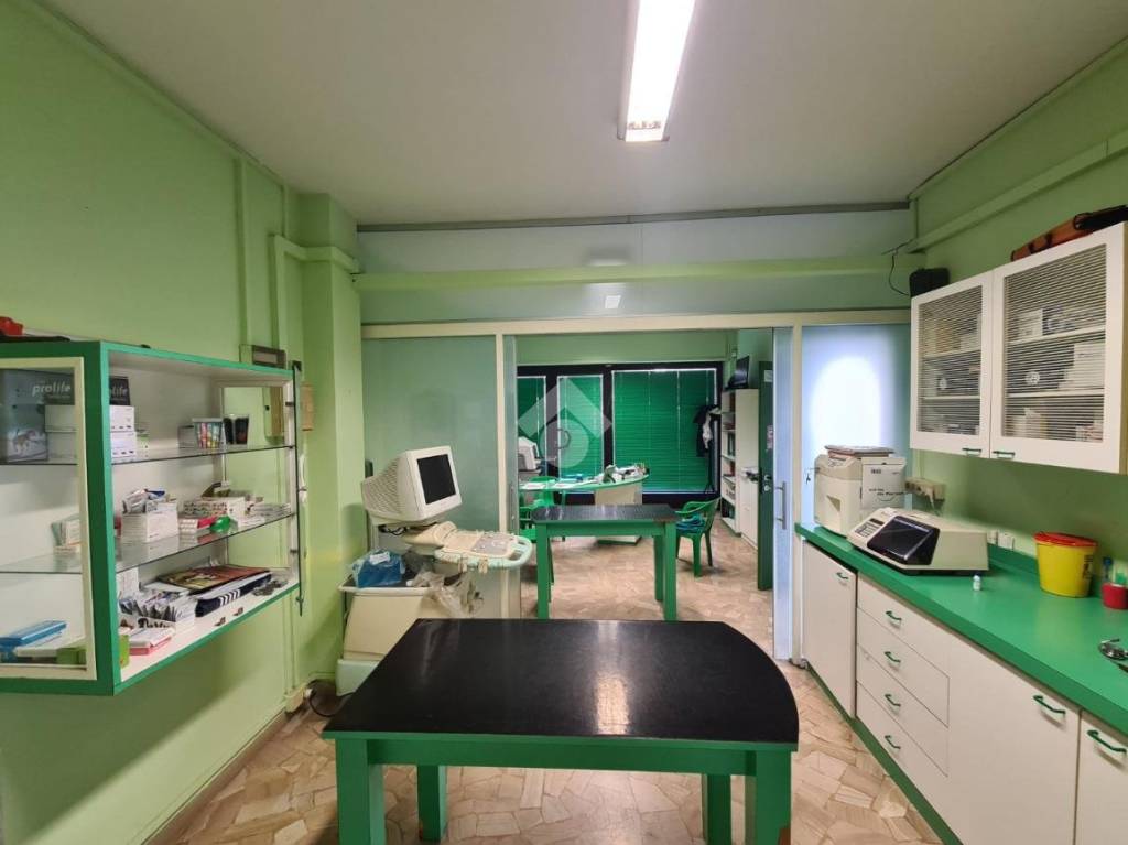 immagine annuncio 3 di 14