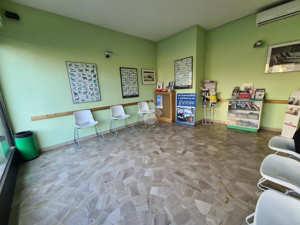 immagine annuncio 4 di 14