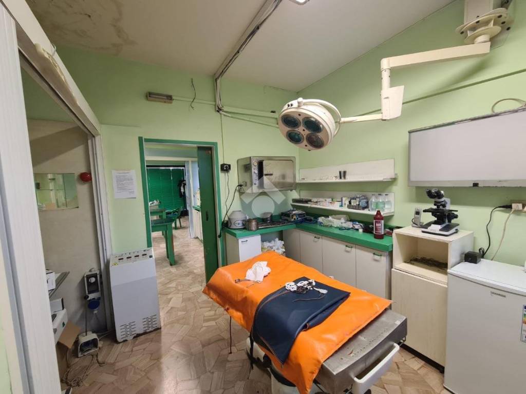 immagine annuncio 6 di 14
