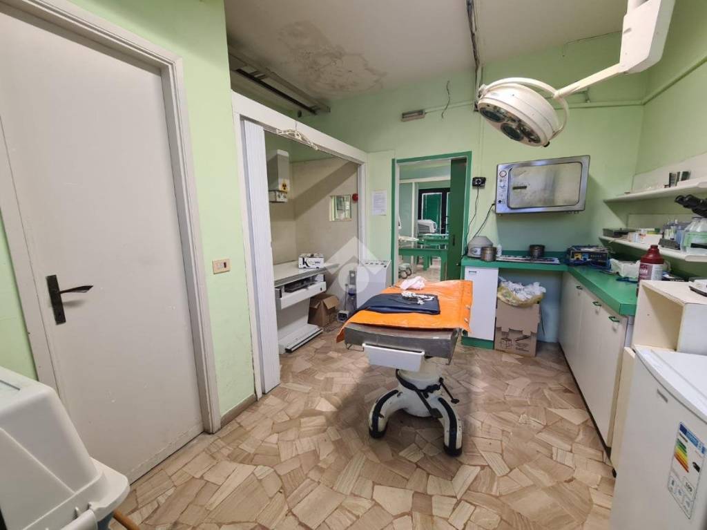 immagine annuncio 9 di 14