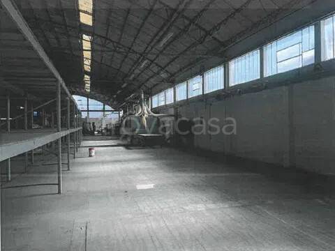 immagine annuncio 4 di 12