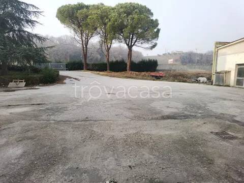 immagine annuncio 7 di 12