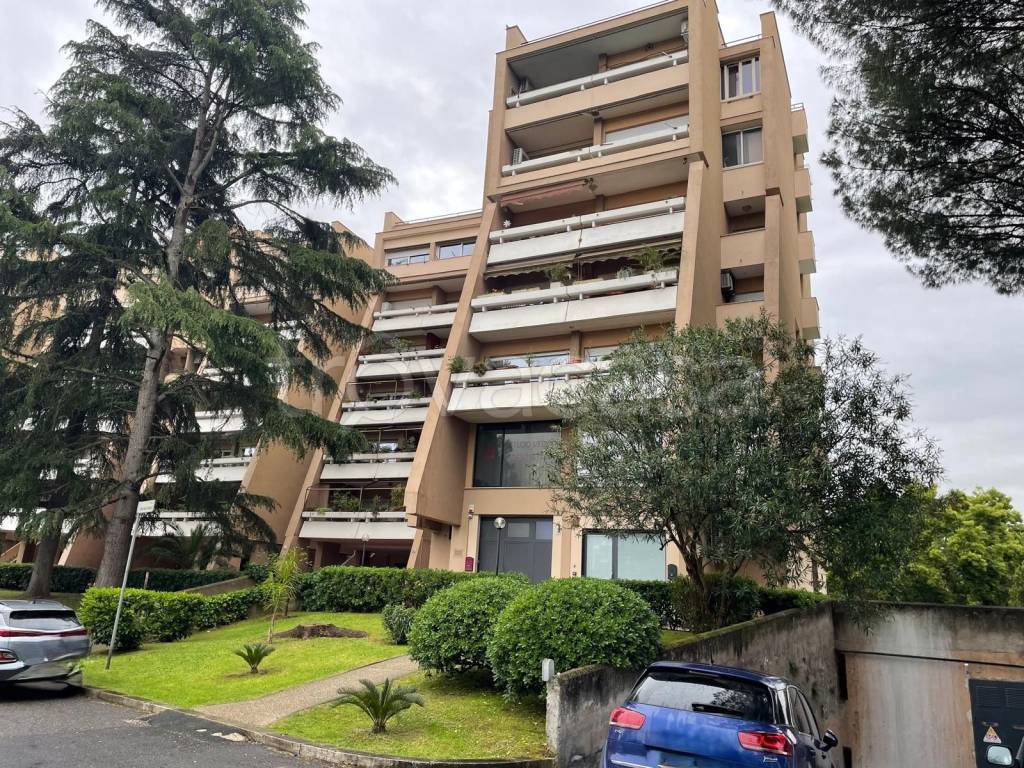 immagine annuncio 5 di 11