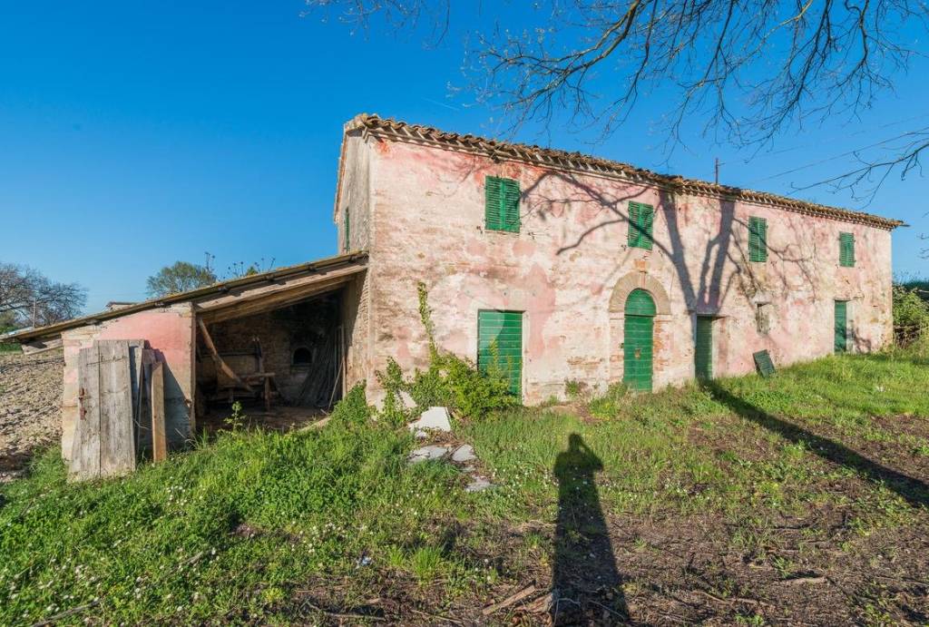immagine annuncio 7 di 12