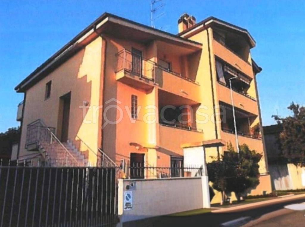 immagine annuncio 9 di 12