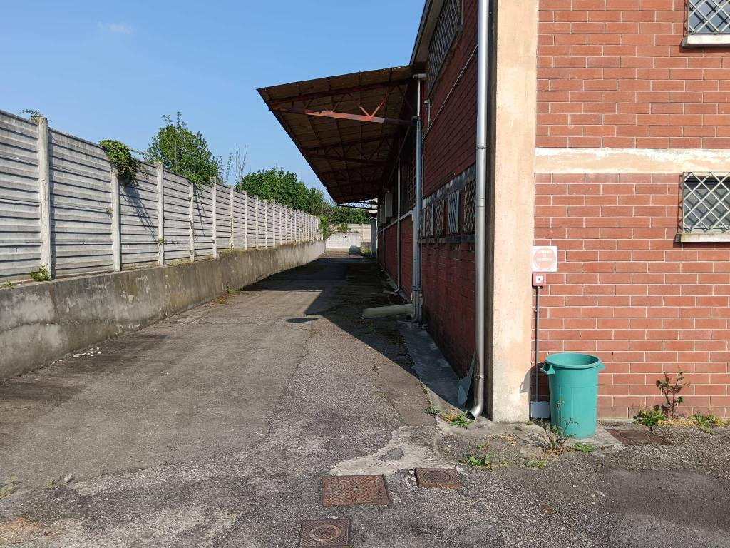 immagine annuncio 11 di 15