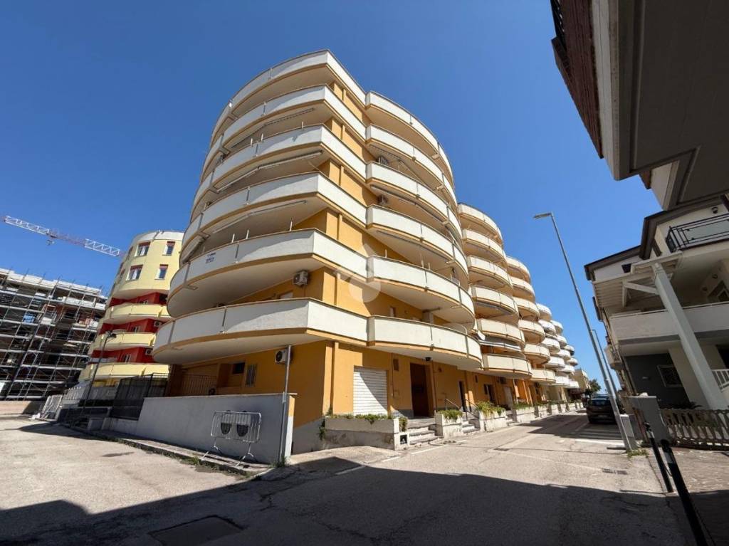 immagine annuncio 13 di 14