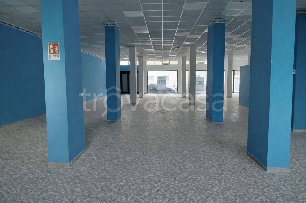 immagine annuncio 5 di 13