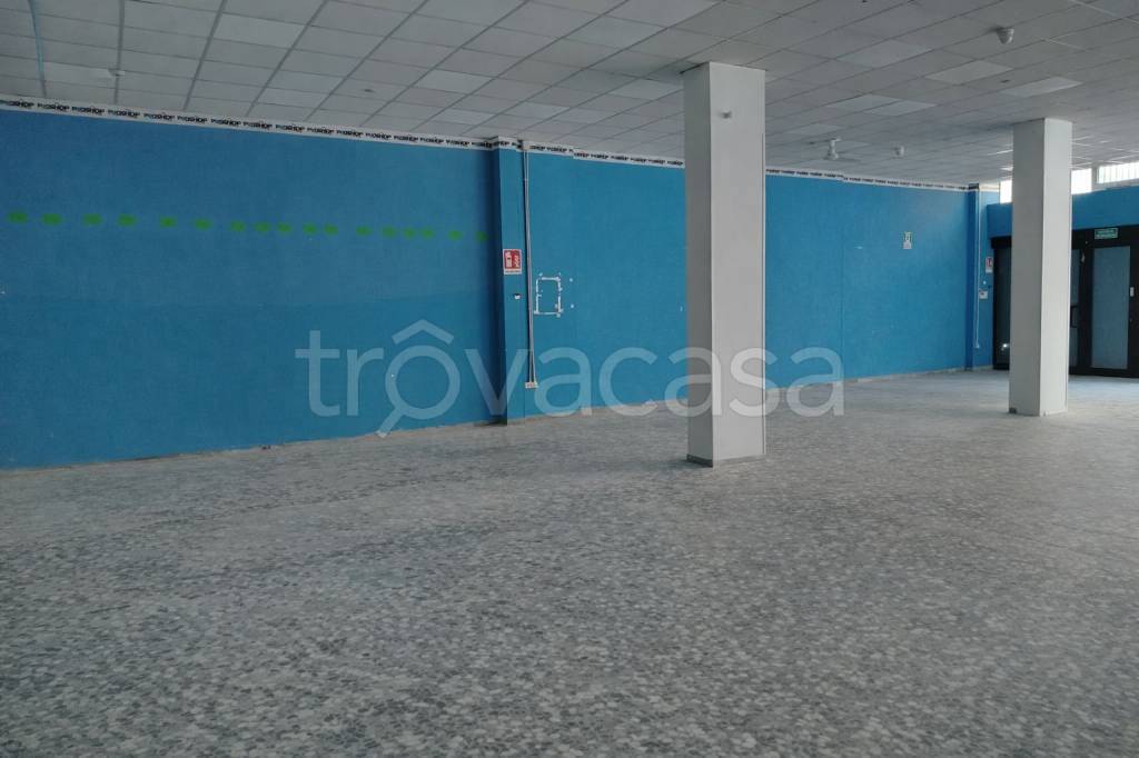 immagine annuncio 9 di 13