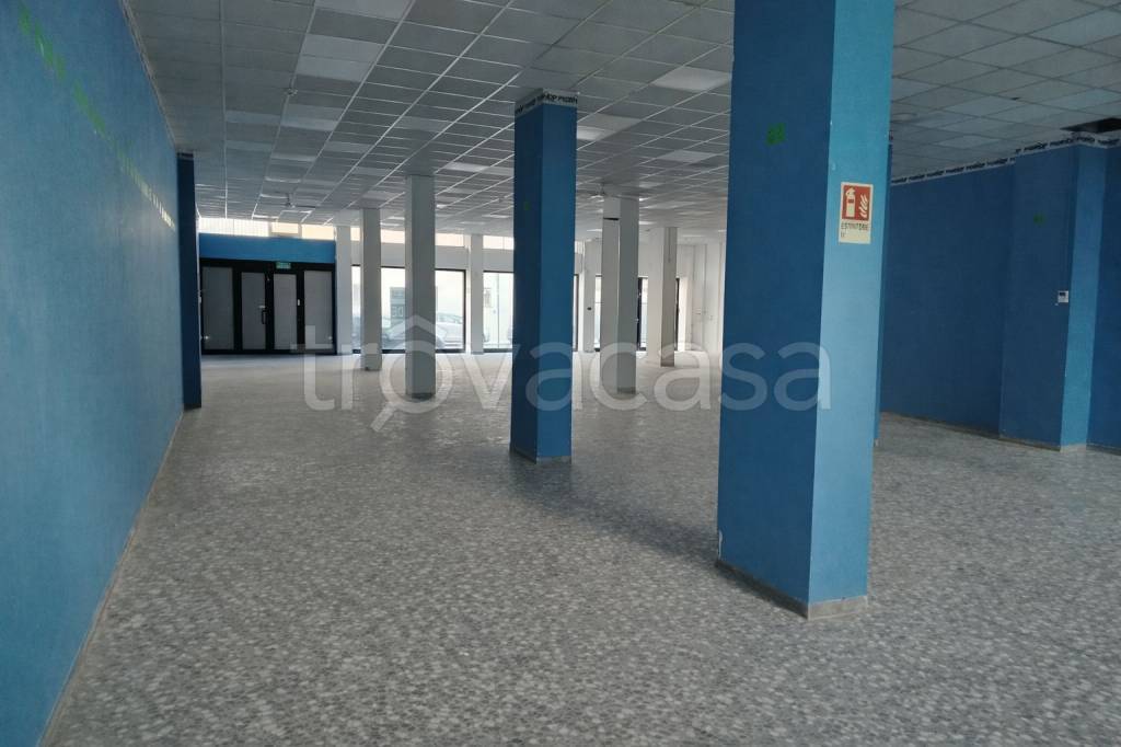 immagine annuncio 11 di 13
