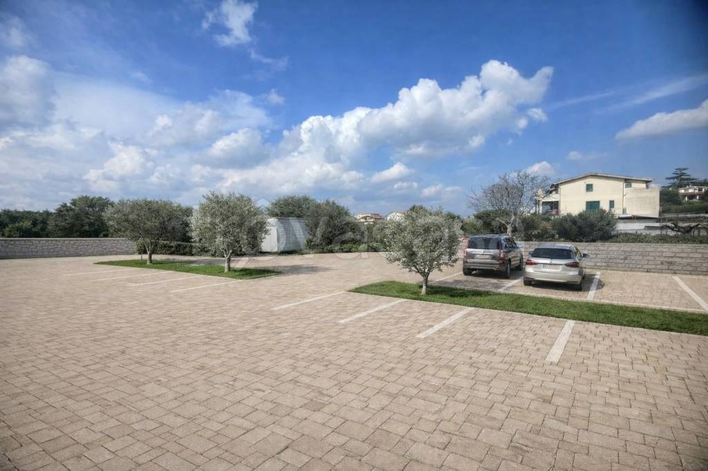 immagine annuncio 10 di 14