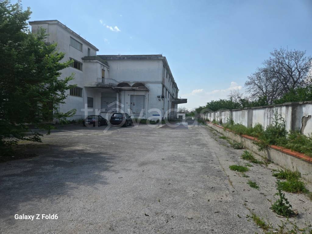 immagine annuncio 4 di 6